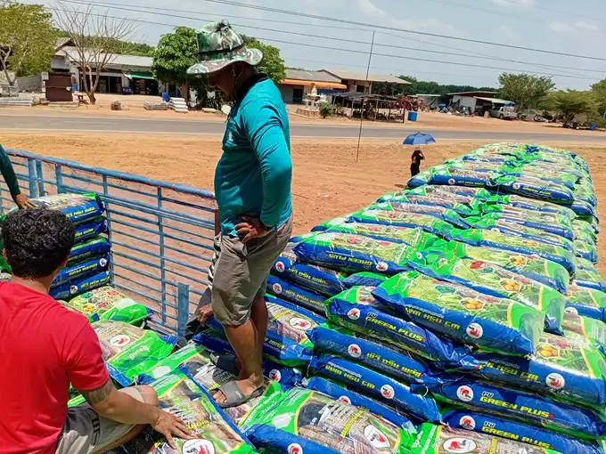 การจัดส่งปุ๋ย PV Green Plus หลายพื้นที่ในเขตอีสานตอนบน