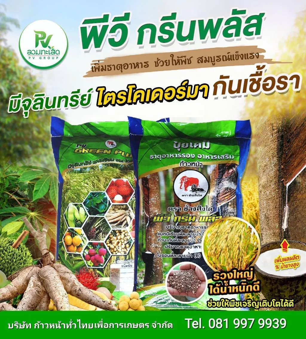 กระสอบปุ๋ย PV Green Plus